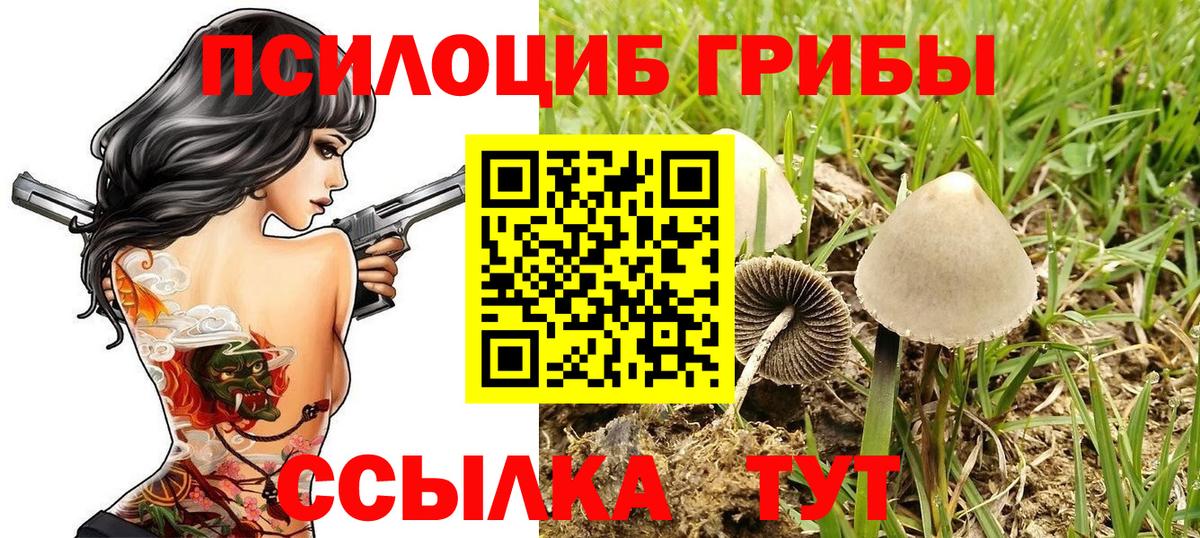 Псилоцибиновые грибы прущие грибы Соликамск