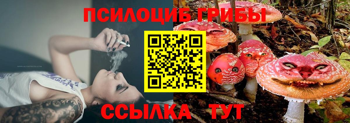 Псилоцибиновые грибы мицелий  Псилоцибиновые грибы прущие грибы  Вход с VPN  Соликамск 